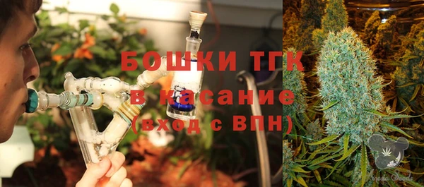 сатива Михайловск