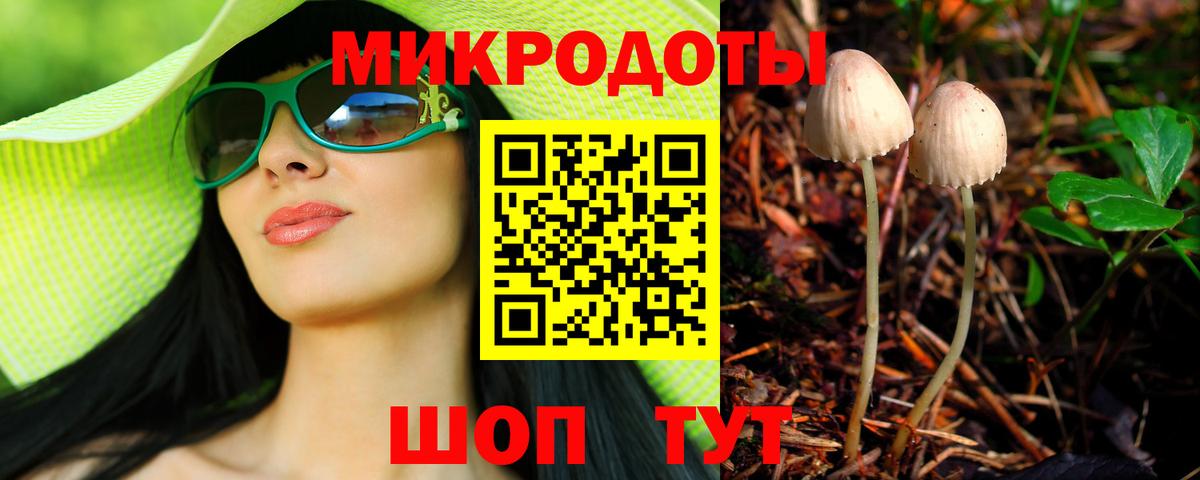 Галлюциногенные грибы ЛСД Верхняя Пышма