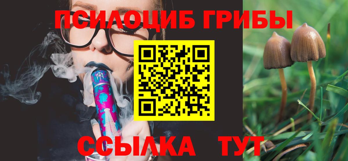 Псилоцибиновые грибы мицелий  Вход с VPN  Галлюциногенные грибы мухоморы  Верхняя Пышма 